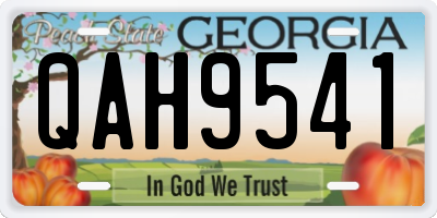 GA license plate QAH9541
