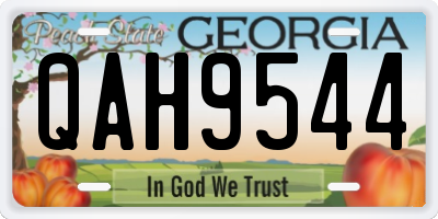 GA license plate QAH9544