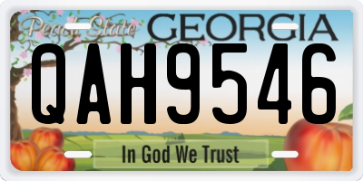 GA license plate QAH9546