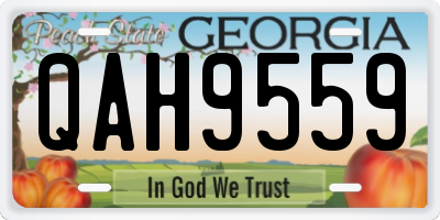 GA license plate QAH9559
