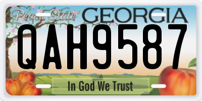 GA license plate QAH9587