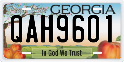 GA license plate QAH9601