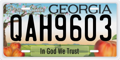 GA license plate QAH9603