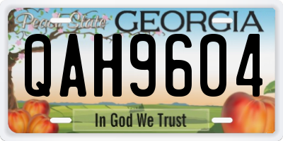 GA license plate QAH9604