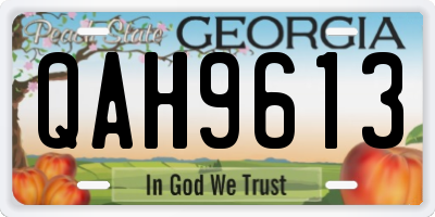 GA license plate QAH9613