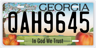 GA license plate QAH9645
