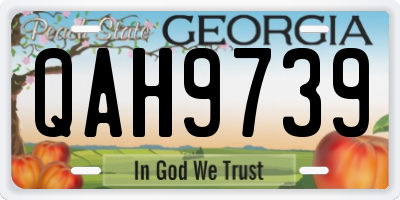 GA license plate QAH9739