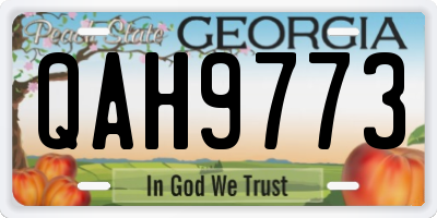 GA license plate QAH9773