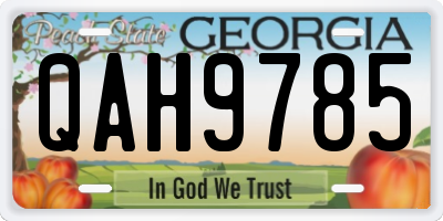 GA license plate QAH9785