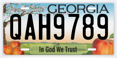 GA license plate QAH9789