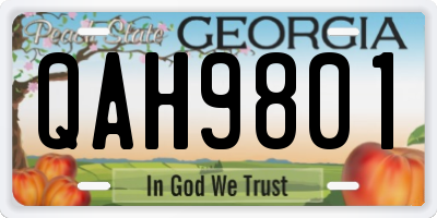 GA license plate QAH9801