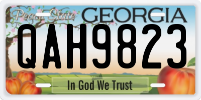 GA license plate QAH9823