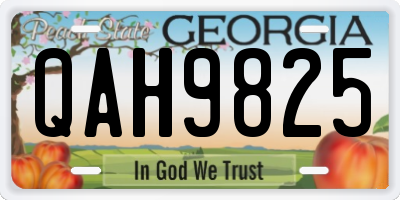 GA license plate QAH9825