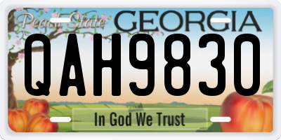 GA license plate QAH9830