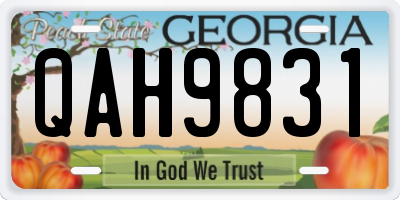 GA license plate QAH9831