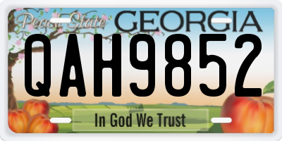 GA license plate QAH9852