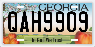 GA license plate QAH9909