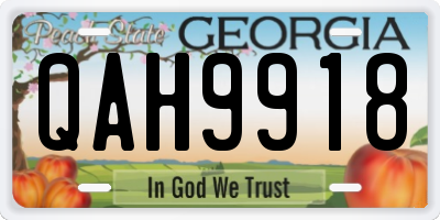 GA license plate QAH9918