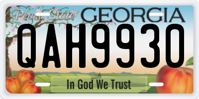 GA license plate QAH9930