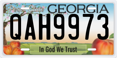 GA license plate QAH9973