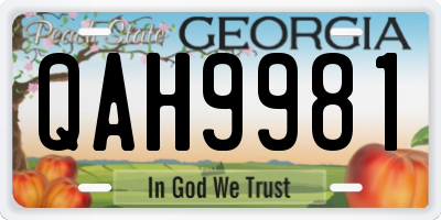 GA license plate QAH9981