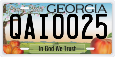 GA license plate QAI0025