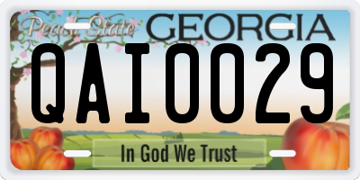 GA license plate QAI0029
