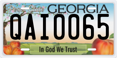 GA license plate QAI0065