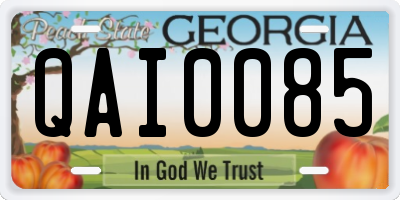 GA license plate QAI0085
