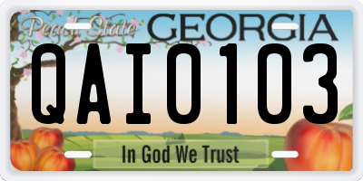 GA license plate QAI0103