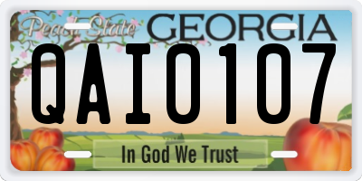 GA license plate QAI0107