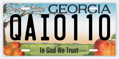 GA license plate QAI0110