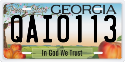 GA license plate QAI0113