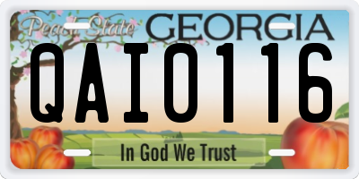 GA license plate QAI0116