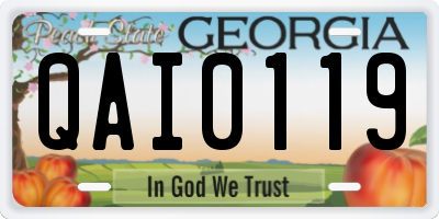 GA license plate QAI0119