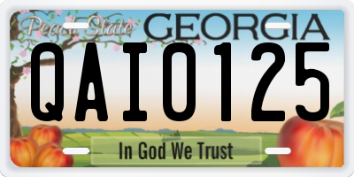 GA license plate QAI0125