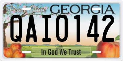 GA license plate QAI0142