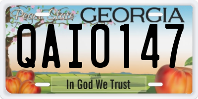 GA license plate QAI0147