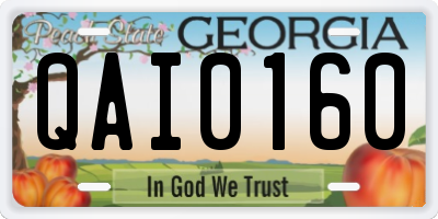 GA license plate QAI0160