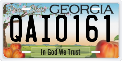 GA license plate QAI0161