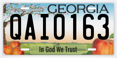GA license plate QAI0163