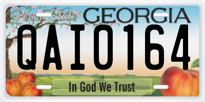 GA license plate QAI0164