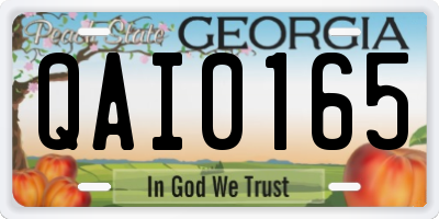 GA license plate QAI0165