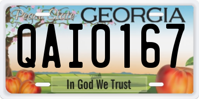 GA license plate QAI0167