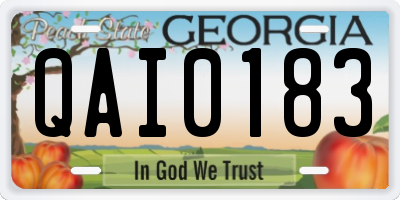 GA license plate QAI0183