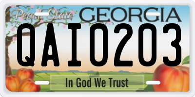 GA license plate QAI0203
