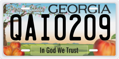 GA license plate QAI0209