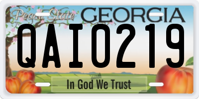 GA license plate QAI0219