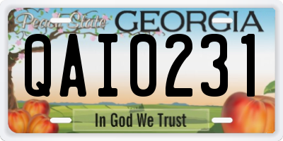 GA license plate QAI0231