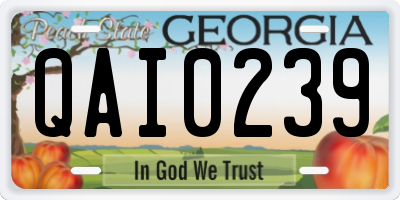 GA license plate QAI0239